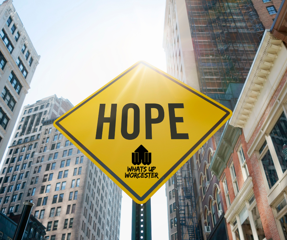 GOOSE ON THE LOOSE: 5-Foot Lizard Spotted in Webster and Now... Connecticut?!