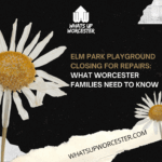 What Worcester Families Need to Know