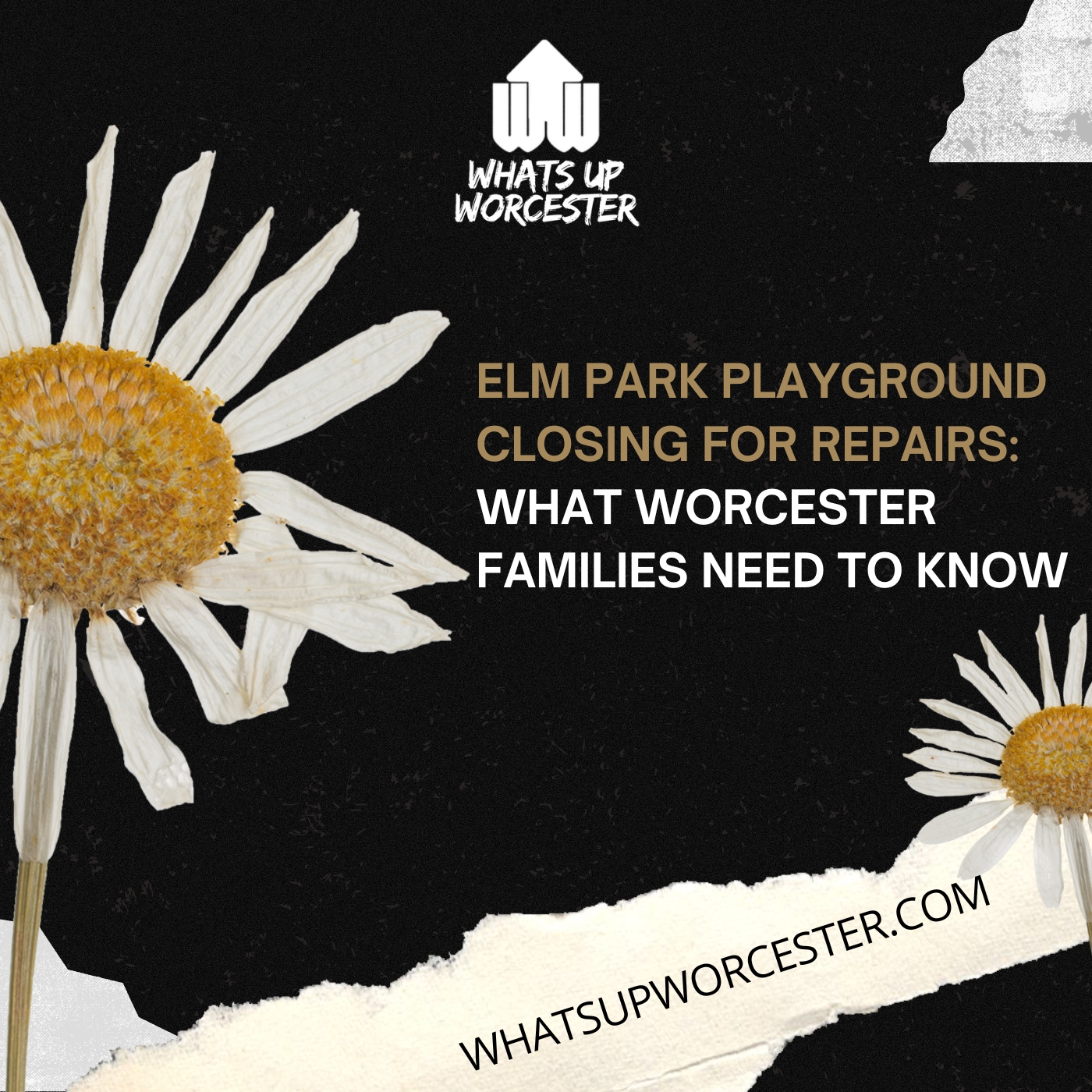 What Worcester Families Need to Know