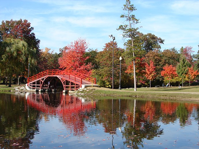 Elm Park Playground Closing for Repairs: What Worcester Families Need to Know